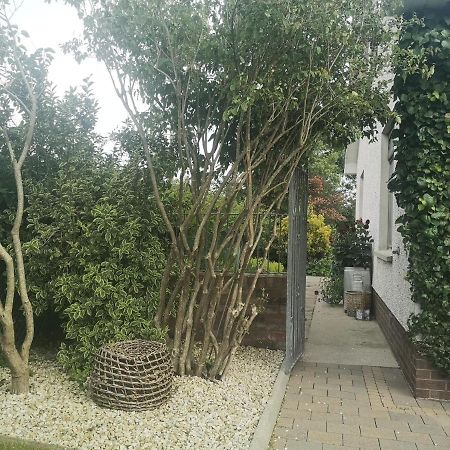 Barnescroft Hotell Kilkeel Exteriör bild